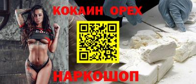 крисы Брянск