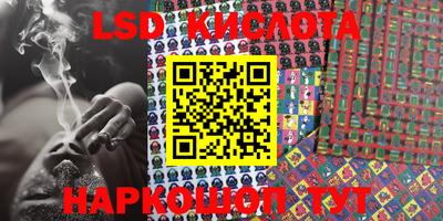 крисы Брянск